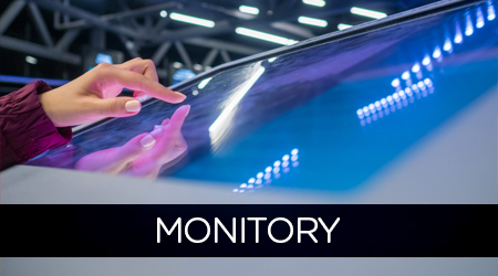 Monitory